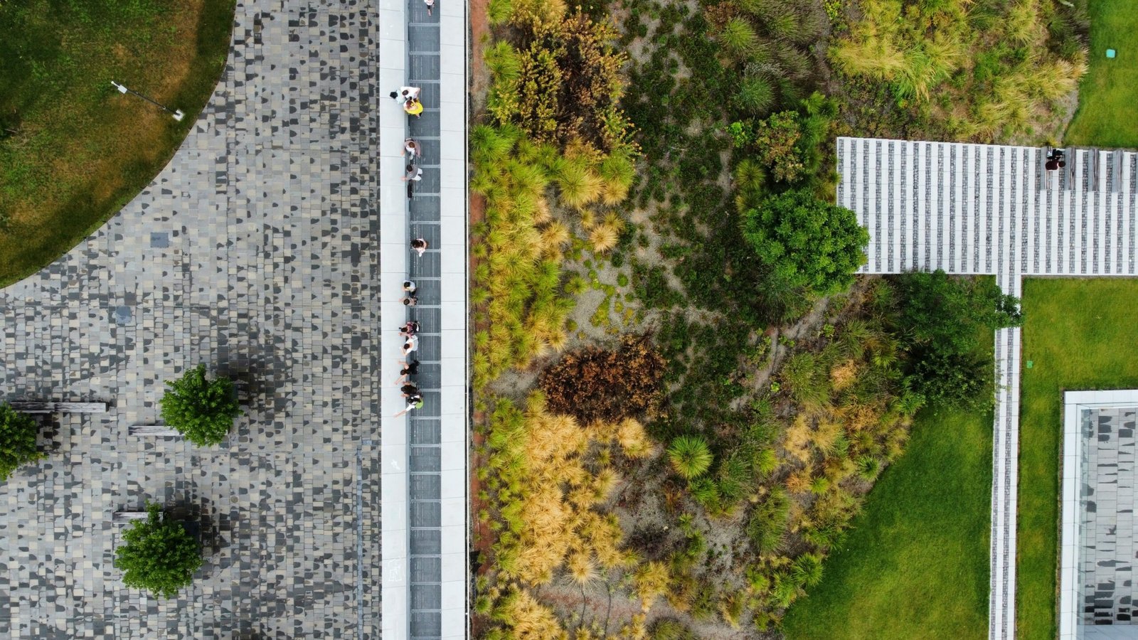 Contemporary architecture with a landscaped green roof